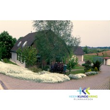 Herwen Herwensedijk F00000434